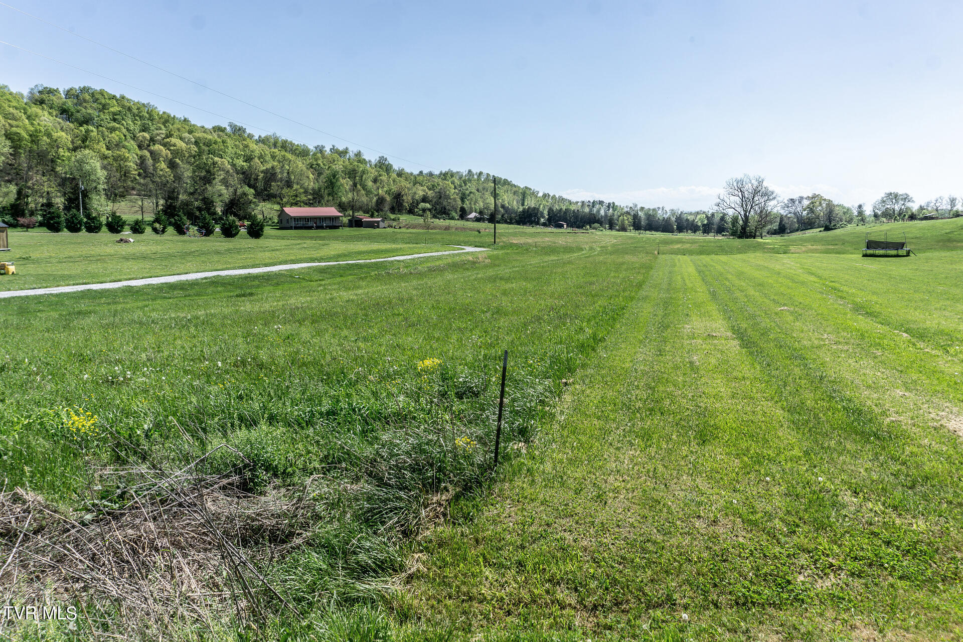 5-ac Quaker Knob Road Chuckey, TN 37641 - Photo 7 of 31 QuakerKnobC_009