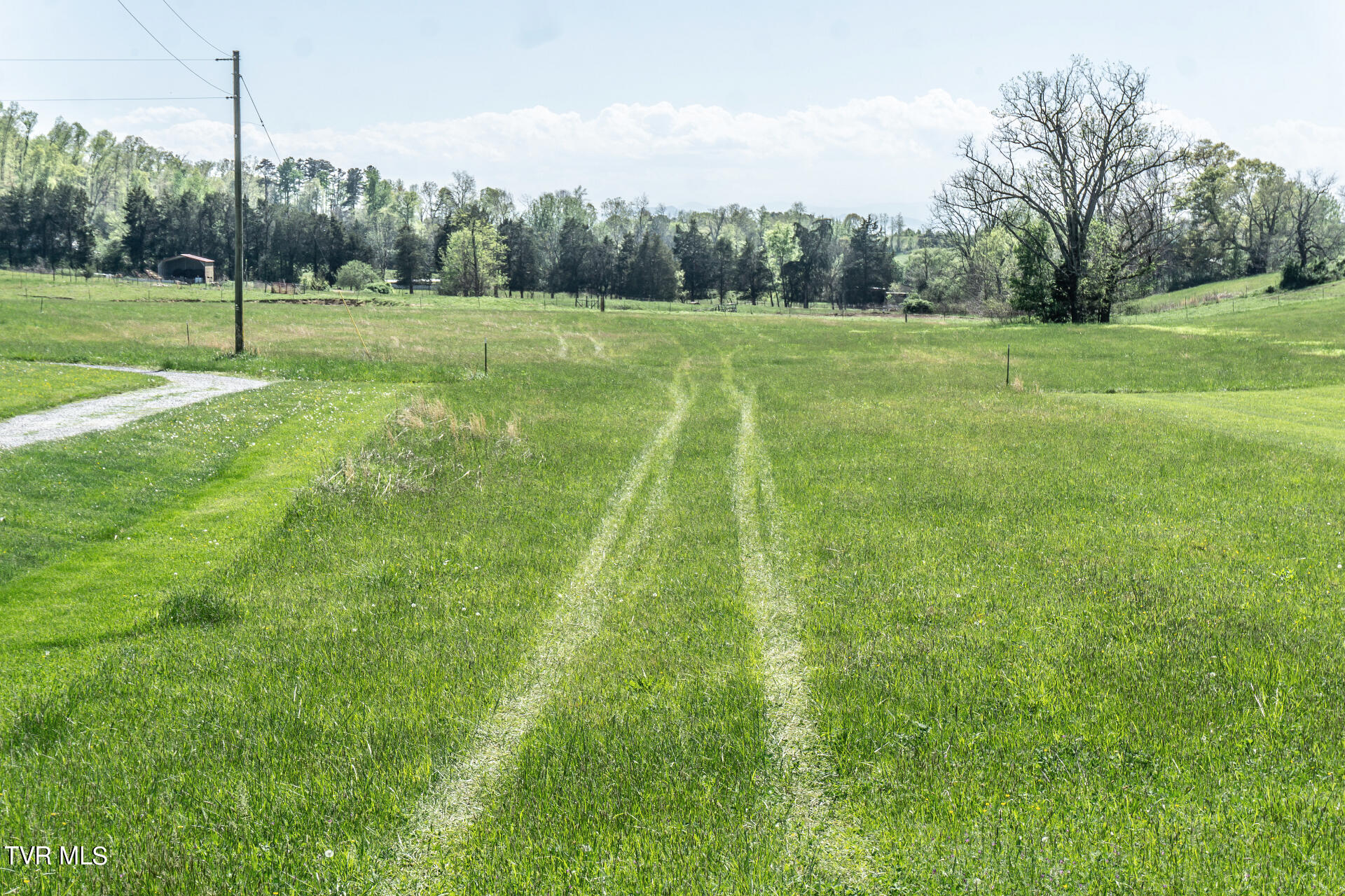 5-ac Quaker Knob Road Chuckey, TN 37641 - Photo 8 of 31 QuakerKnobC_008