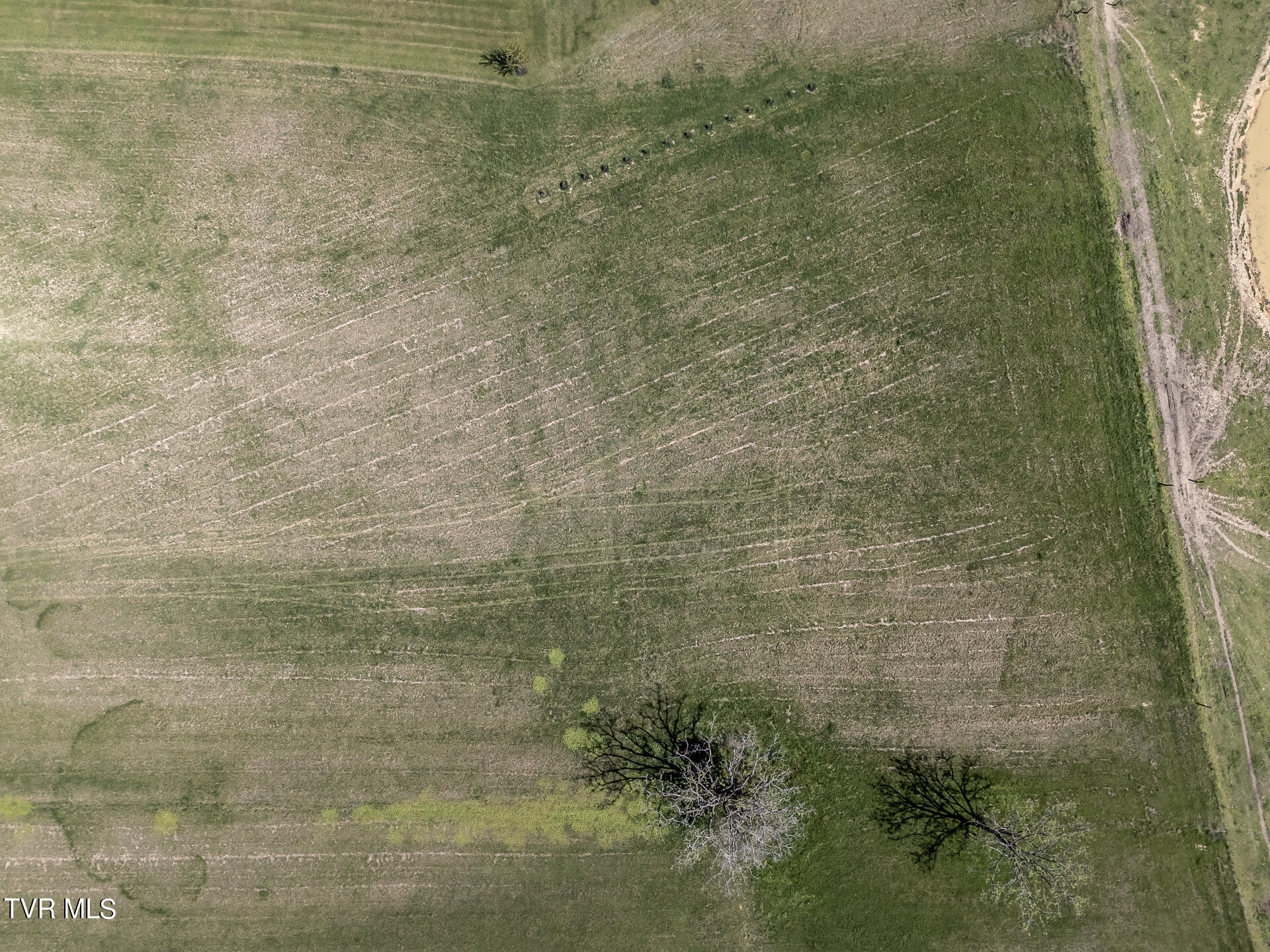 5-ac Quaker Knob Road Chuckey, TN 37641 - Photo 10 of 31 QuakerKnobC_029