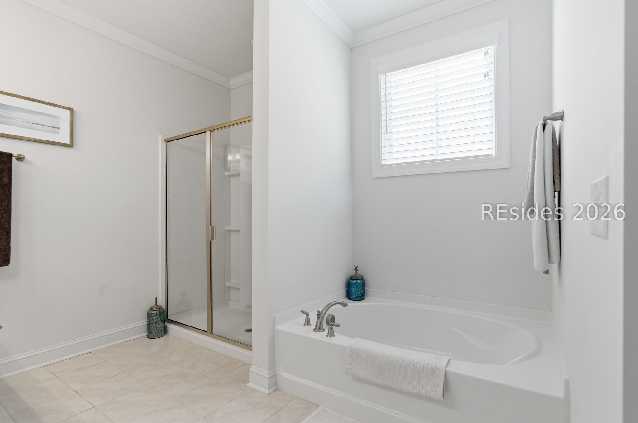 246 Lombards Mill Lane Bluffton, SC 29909 - Photo 20 of 33 Large primary bathroom with shower/tub combo