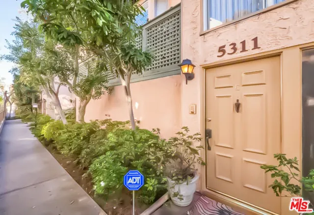 a view of a potted plants from a hallway