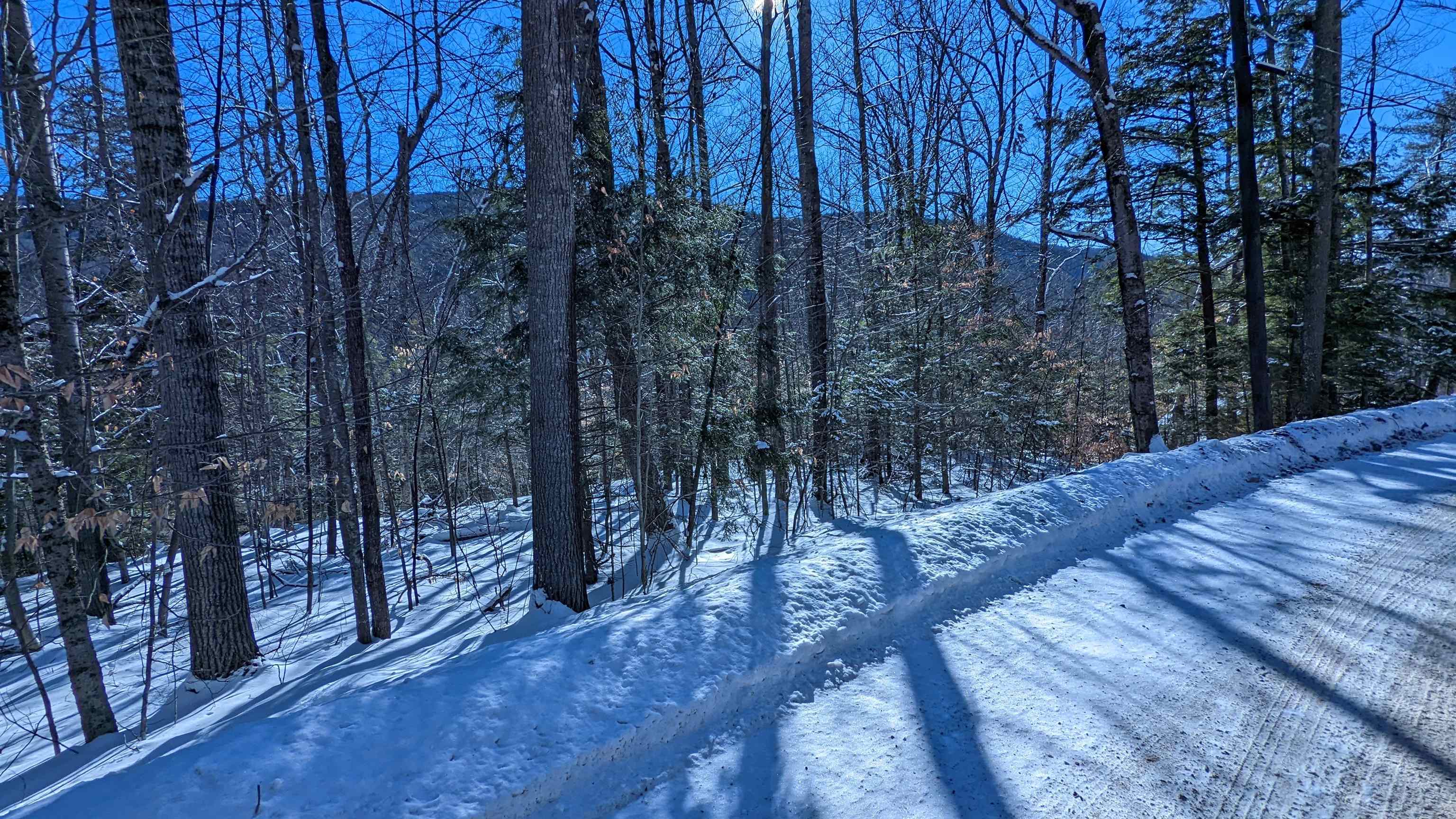 11.3-3 Bell Valley Road, Unit E2 Campton, NH 03223 - Photo 8 of 18