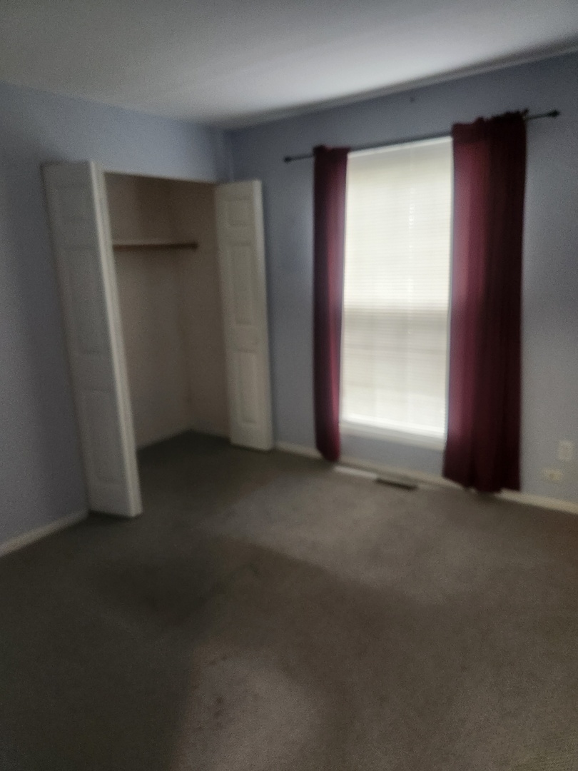 1066 Spring Garden Circle, Unit 66 Naperville, IL 60563 - Photo 18 of 24