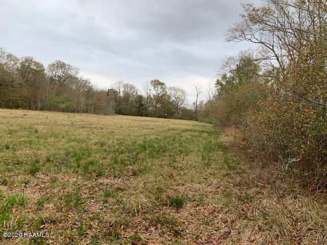 0 Bellridge Road Opelousas, LA 70570 - Photo 2 of 3 IMG_0678