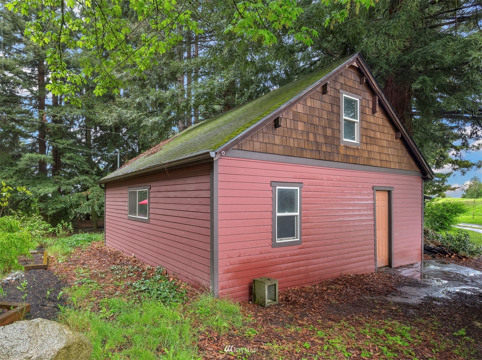3715 South Webster Street Seattle, WA 98118 - Photo 34 of 39 a view of a backyard with plants and large tree