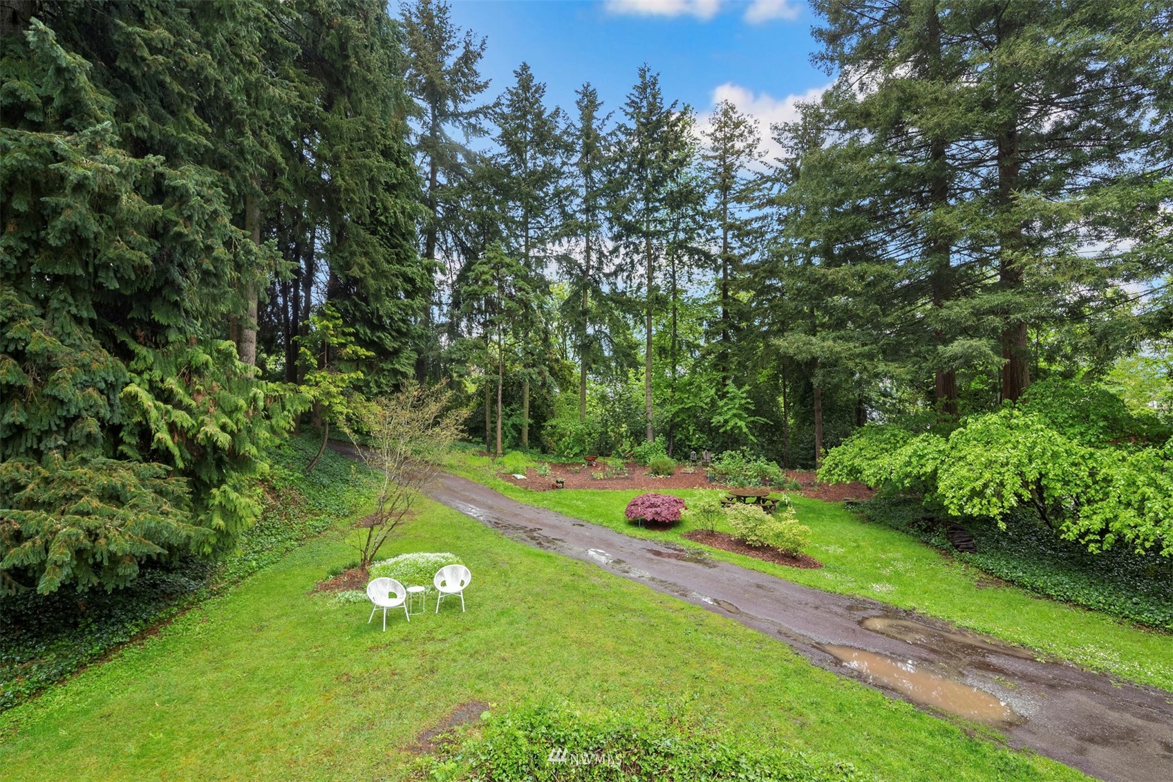 3715 South Webster Street Seattle, WA 98118 - Photo 35 of 39 a green field with lots of bushes