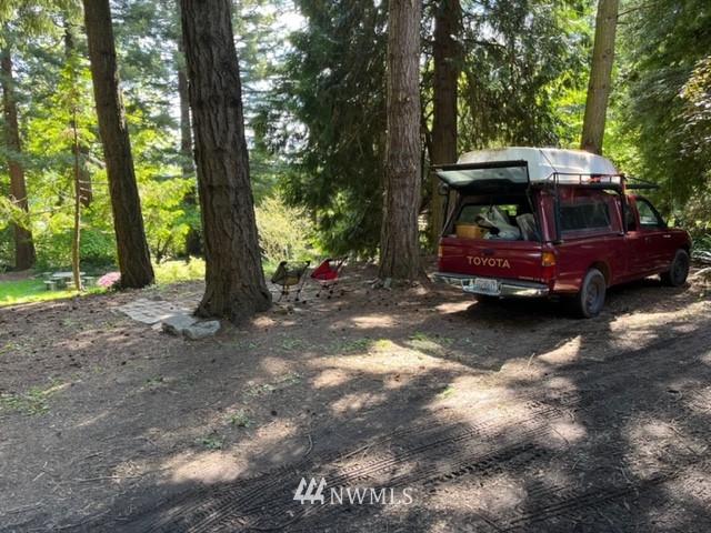 3715 South Webster Street Seattle, WA 98118 - Photo 37 of 39 a view of outdoor space with trees