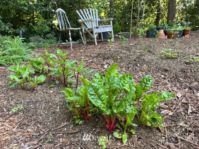 3715 South Webster Street Seattle, WA 98118 - Photo 38 of 39 a garden view with a seating space