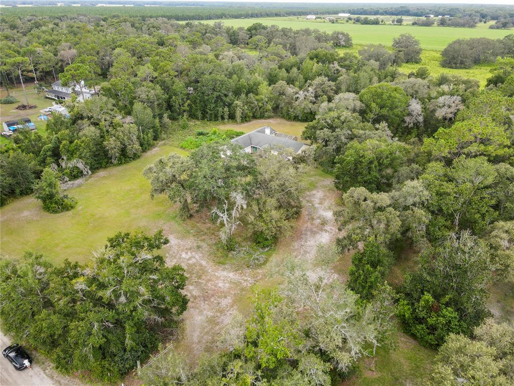 18321 McMullen Road Spring Hill, FL 34610 - Photo 11 of 56 a view of a forest with a yard