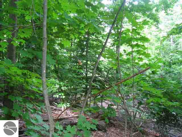 11606 Shippy Road Southwest Fife Lake, MI 49633 - Photo 20 of 25 1728682-19.JPG