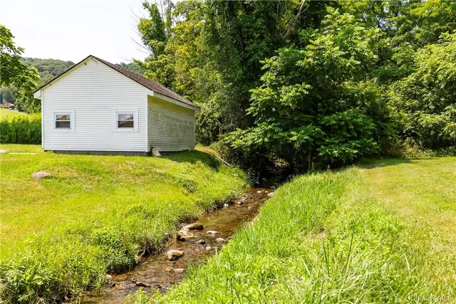 a view of a backyard with plants and large tree
