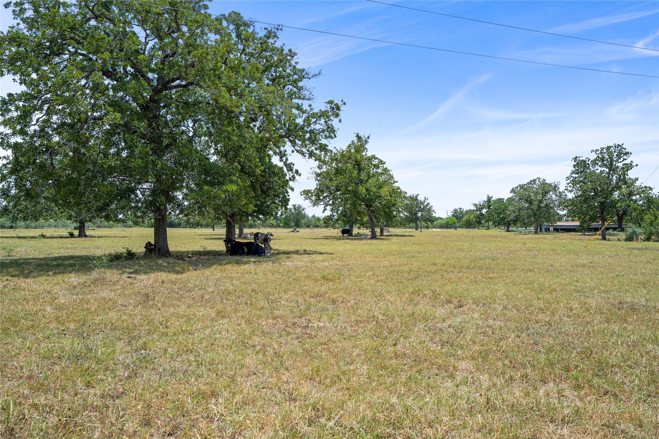 7135 Brown Road Flatonia, TX 78941 - Photo 19 of 26 Gallery Image 19
