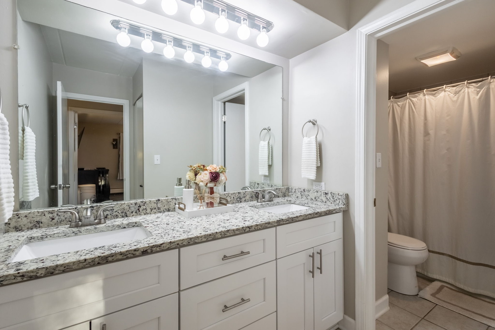 154 East Bailey Road, Unit F Naperville, IL 60565 - Photo 14 of 25 a bathroom with a granite countertop sink a toilet and a large mirror