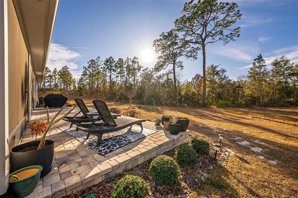 9746 Southwest 108th Terrace Road Ocala, FL 34481 - Photo 88 of 99 a view of a backyard with plants and a patio