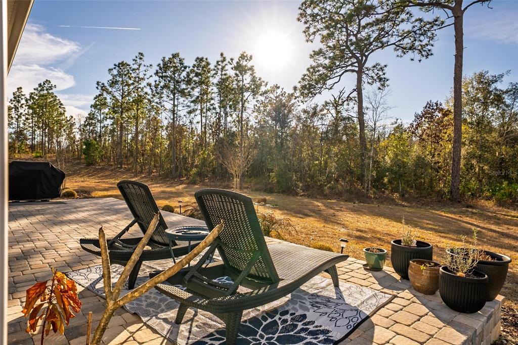 9746 Southwest 108th Terrace Road Ocala, FL 34481 - Photo 89 of 99 a view of a lounge chair and table on the patio