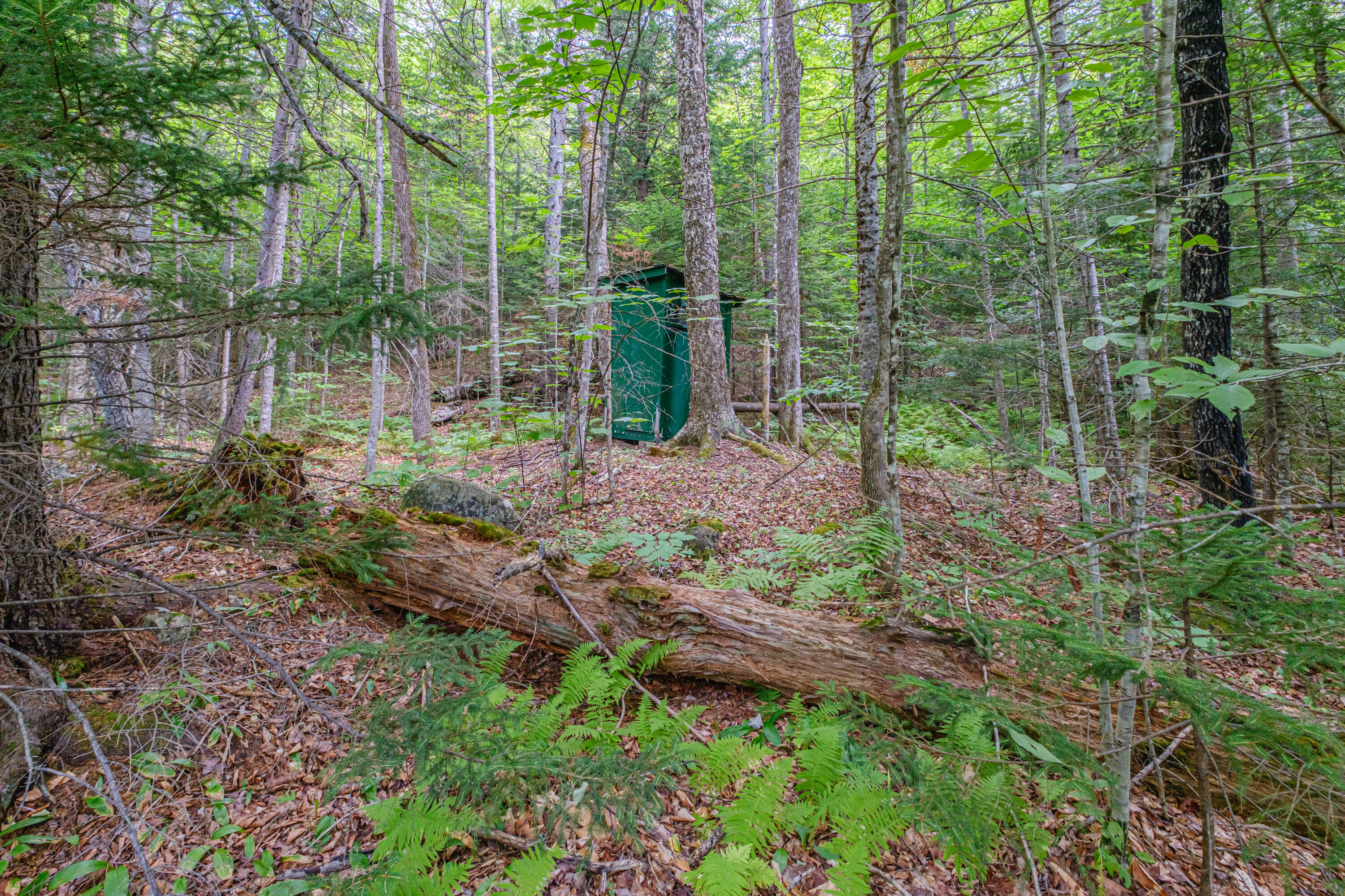 416 Sawyer Notch Road Andover, ME 04216 - Photo 25 of 25 20250808gp-61009