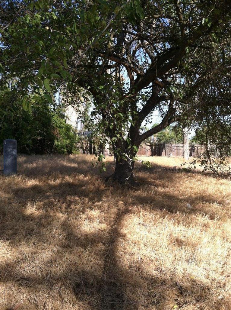 20143 Goodfellow Avenue Reedley, CA 93654 - Photo 3 of 4 Gallery Image 3
