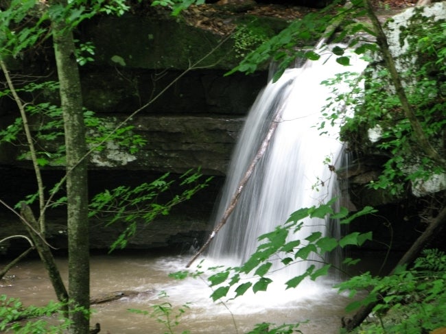 104 River Road Hinton, WV 25951 - Photo 1 of 38 Sylvan Falls