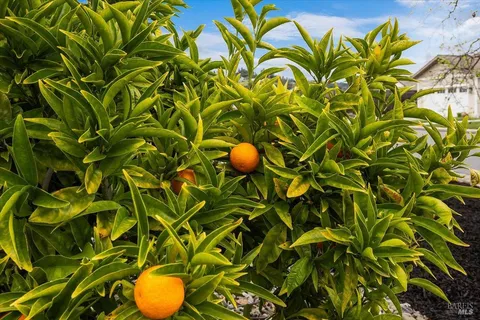 $1,425,000 | 77 Chelsea Drive, Santa Rosa, CA 95403