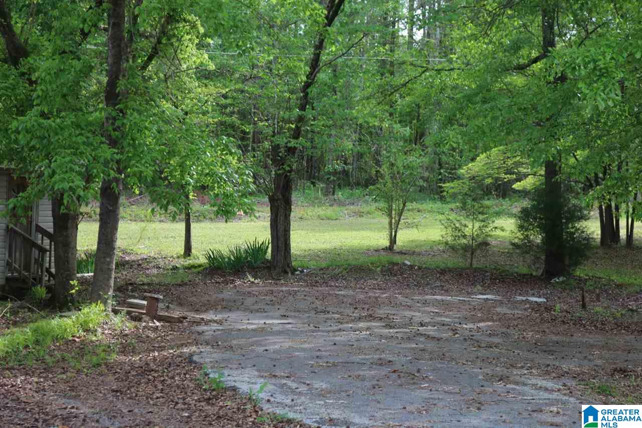 329 Toadvine Cemetery Road Bessemer, AL 35023 - Photo 11 of 22