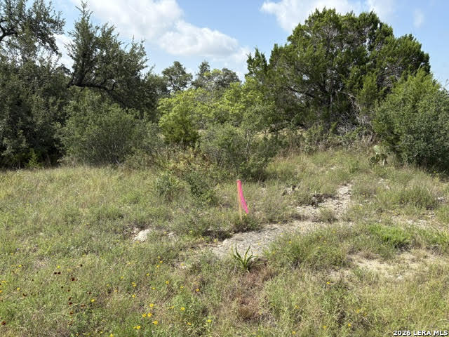 Lot 2025 Split Ridge Spring Branch, TX 78070 - Photo 25 of 35