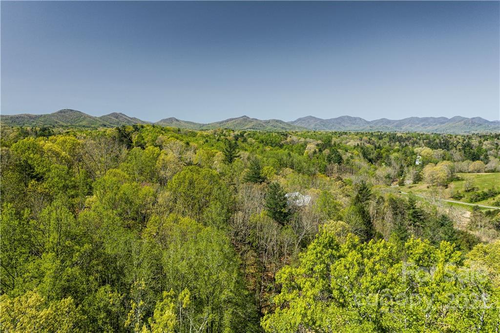 233 Westridge Farm Road, Unit 23 Asheville, NC 28804 - Photo 12 of 18 a view of a mountain range with lush green forest