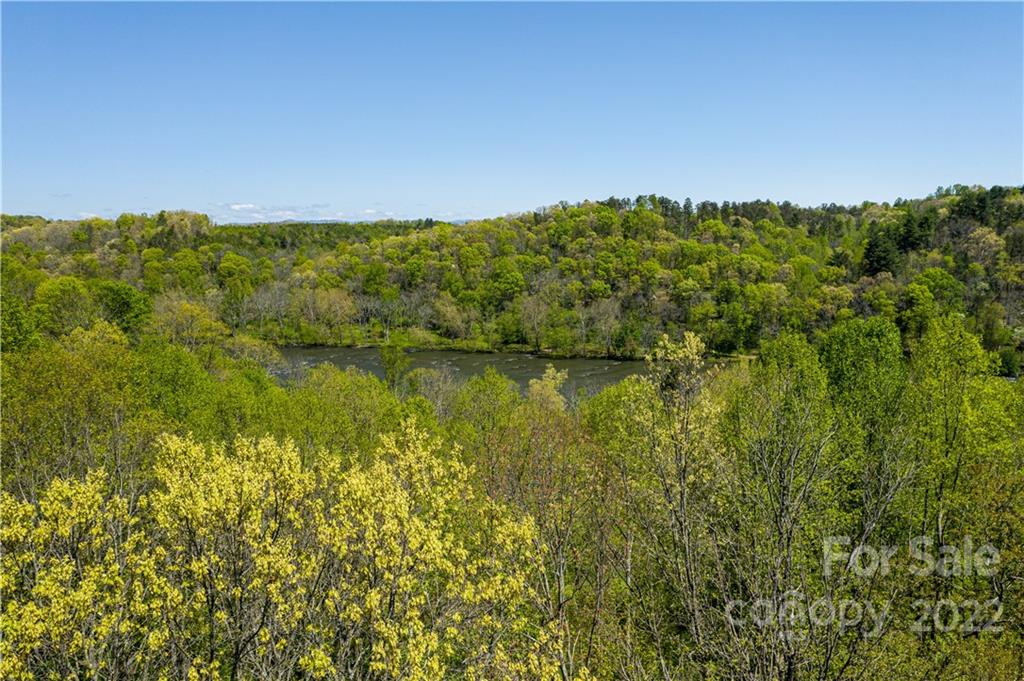 233 Westridge Farm Road, Unit 23 Asheville, NC 28804 - Photo 15 of 18 a view of a green field with lots of bushes