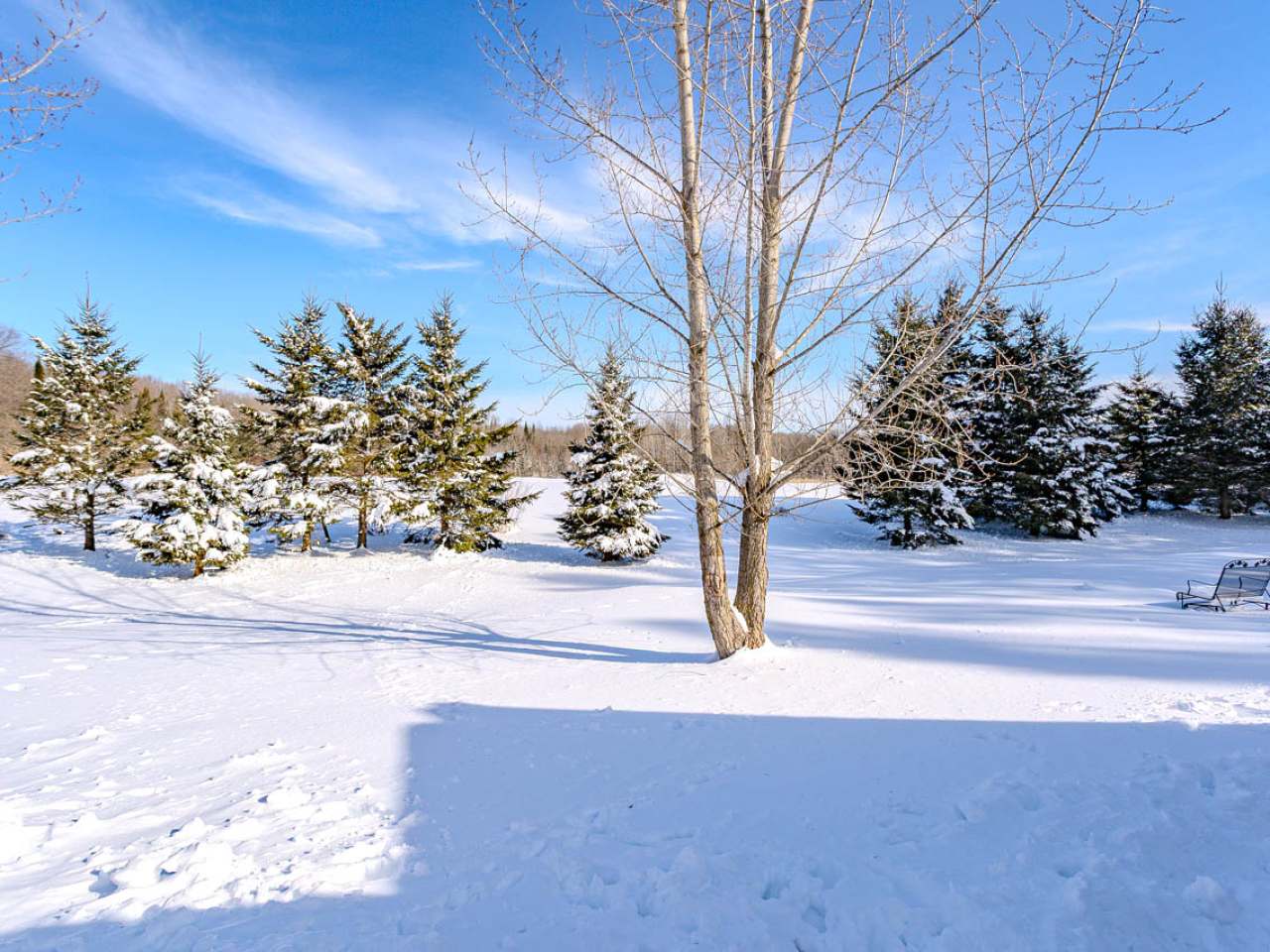 W8488 Forrest Road Antigo, WI 54409 - Photo 18 of 51 Gallery Image 18
