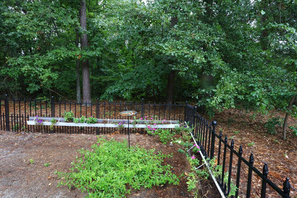 242 Boxwood Road Aiken, SC 29803 - Photo 34 of 36