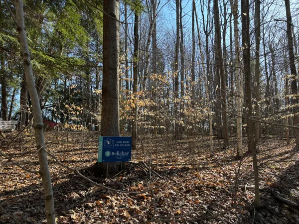$17,900 | Vl Lot 811 Vl Drive, Evart, MI 49631