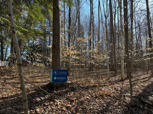 $19,500 | Vl Lot 811 Vl Drive, Evart, MI 49631