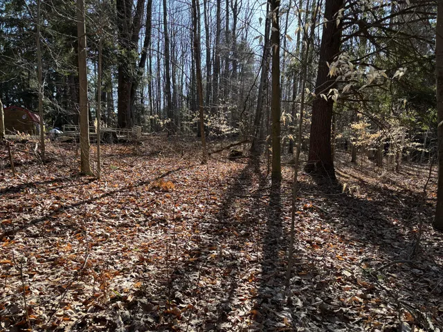 $19,500 | Vl Lot 811 Vl Drive, Evart, MI 49631