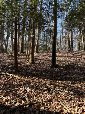 $19,500 | Vl Lot 811 Vl Drive, Evart, MI 49631