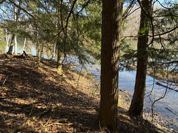 $17,900 | Vl Lot 811 Vl Drive, Evart, MI 49631