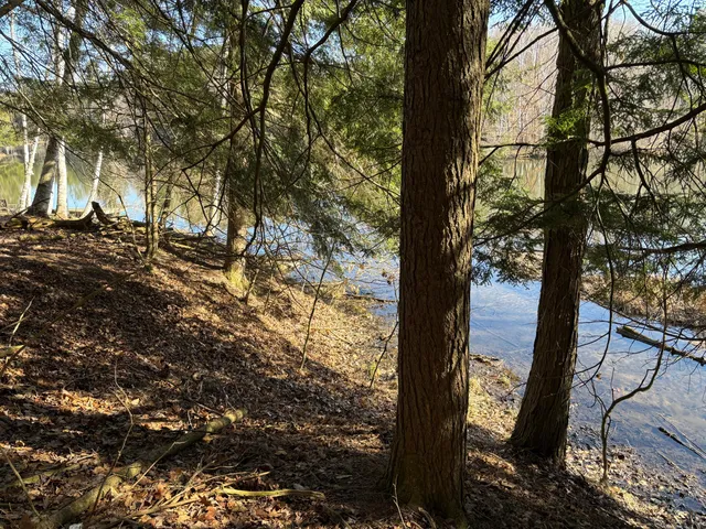 $19,500 | Vl Lot 811 Vl Drive, Evart, MI 49631