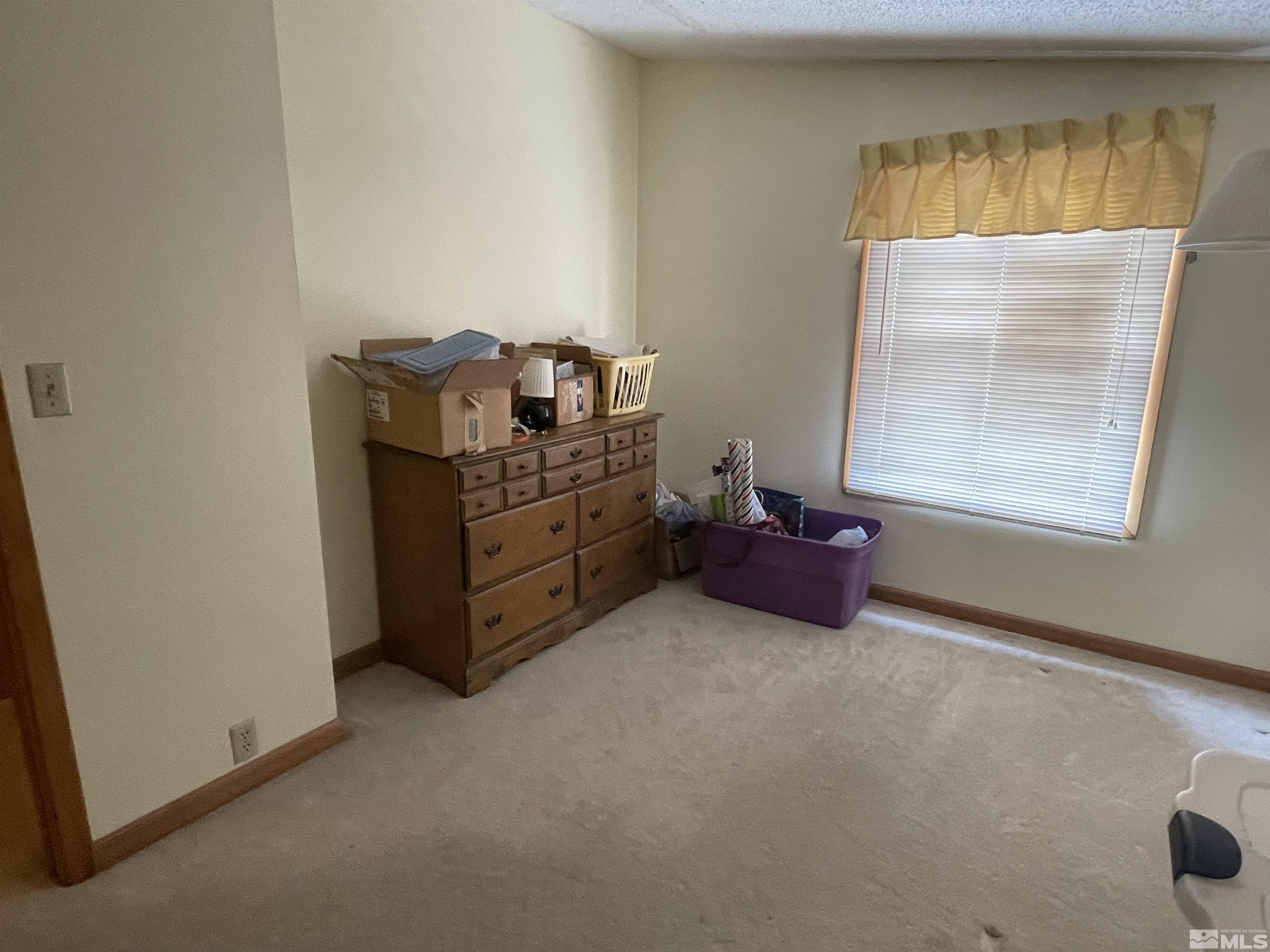 2020 Morgan Road Reno, NV 89521 - Photo 20 of 30 Photo 20