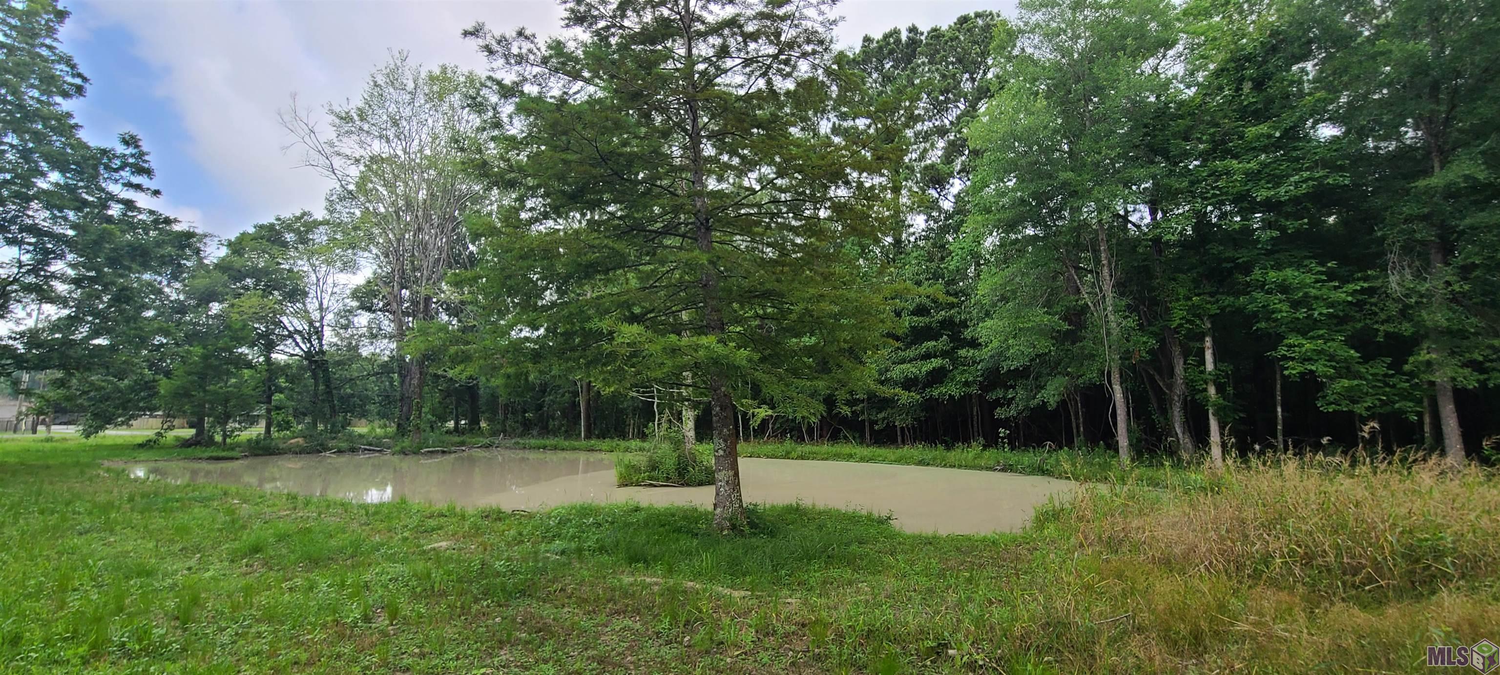 11853 Gurney Road Baker, LA 70714 - Photo 8 of 16