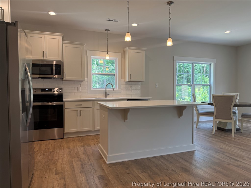 505 Chason Road Lumber Bridge, NC 28357 - Photo 6 of 29