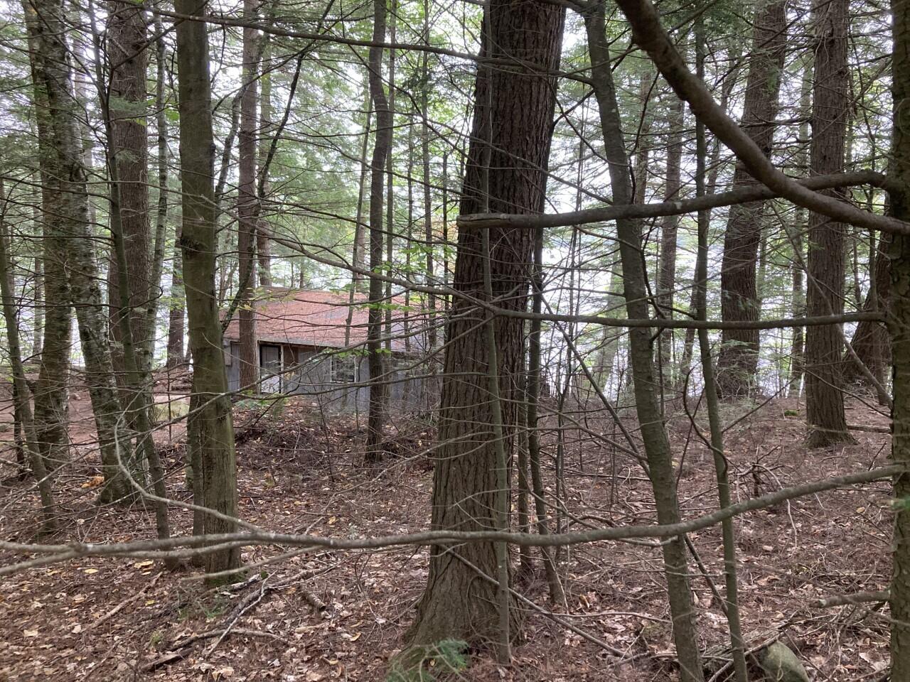 183 West Cove Road South Hartford, ME 04220 - Photo 6 of 25 0353 wooded from the road, down to camp