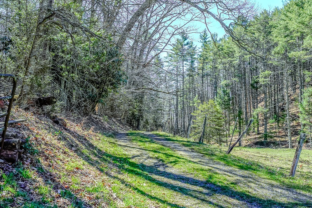 Hot Rod Road Deep Gap, NC 28618 - Photo 3 of 24 a view of a park with a tree