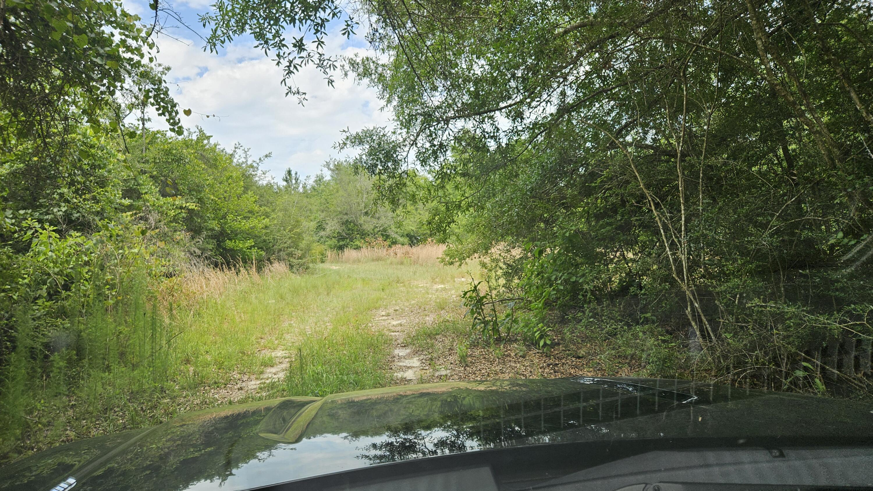24.66-ac Currie Road, Unit PARCEL F Crestview, FL 32536 - Photo 16 of 32 20240531_140248