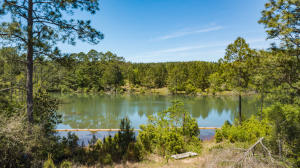 24.66-ac Currie Road, Unit PARCEL F Crestview, FL 32536 - Photo 6 of 32 image