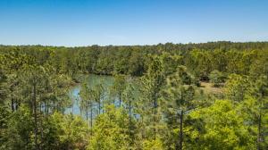 24.66-ac Currie Road, Unit PARCEL F Crestview, FL 32536 - Photo 8 of 32 image