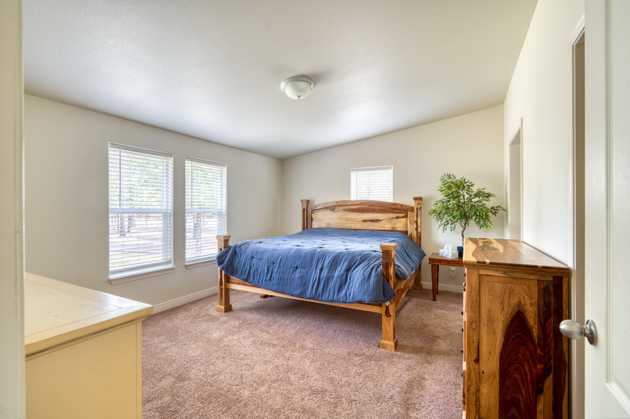 52648 Ammon Road La Pine, OR 97739 - Photo 20 of 44 a bedroom with a bed and a potted plant