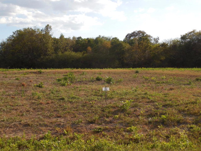 2.56-ac Sage Road Ashford, AL 36312 - Photo 1 of 1