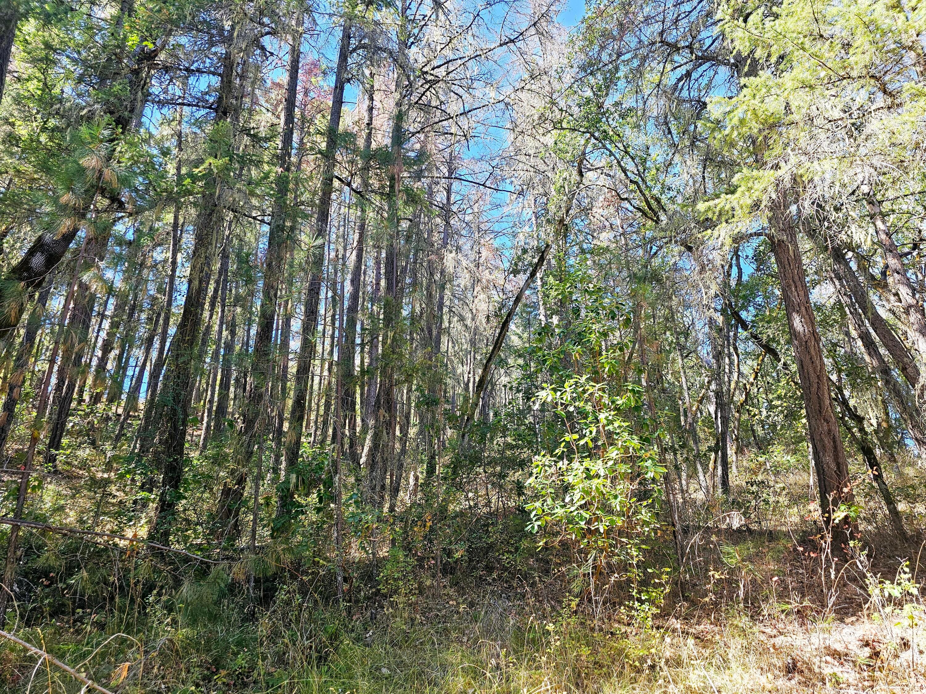 6531 Crowfoot Road Trail, OR 97541 - Photo 8 of 20 20240918_112410