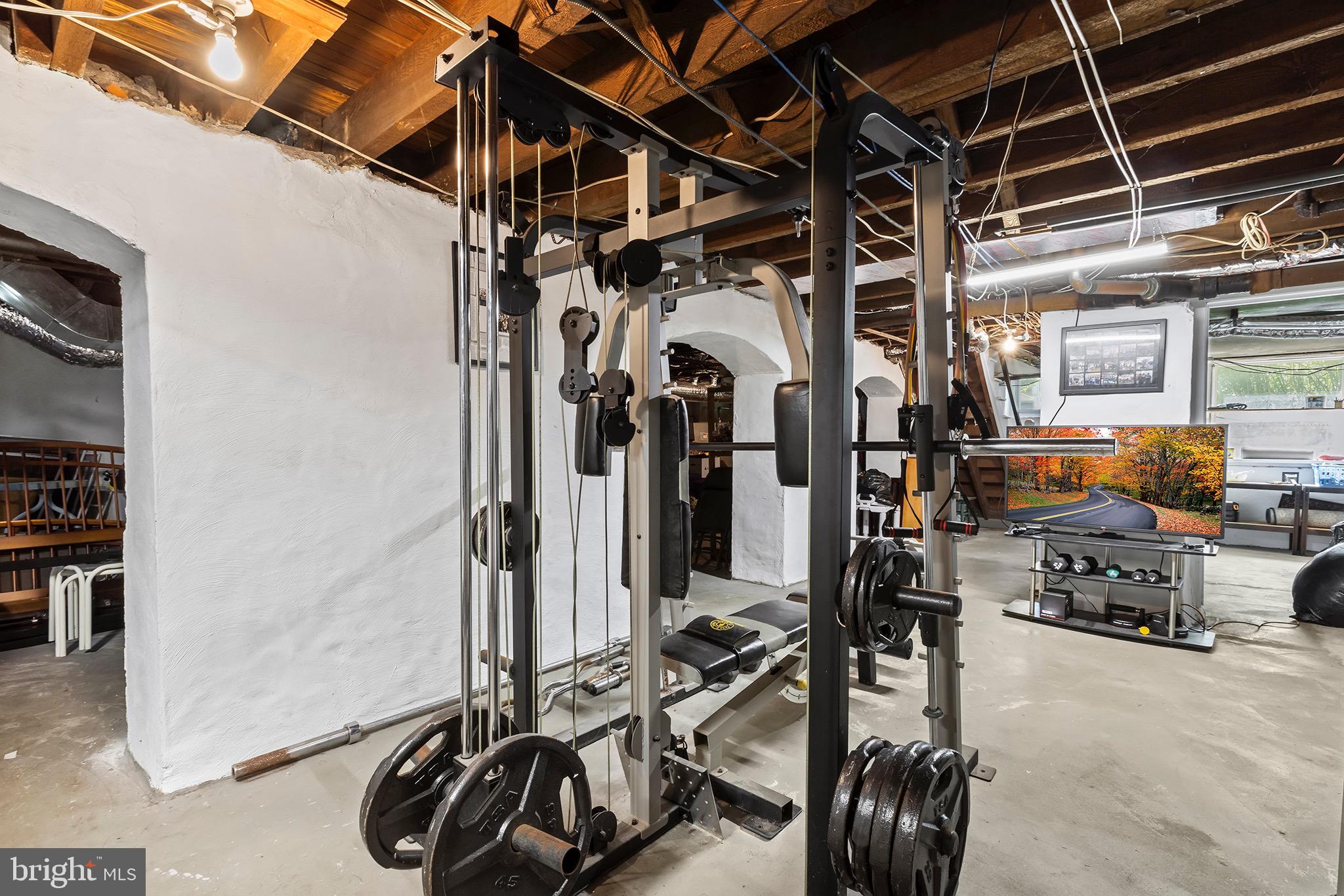 217 Highland Avenue Devon, PA 19333 - Photo 43 of 53 lower level workout area, daylight, walkout