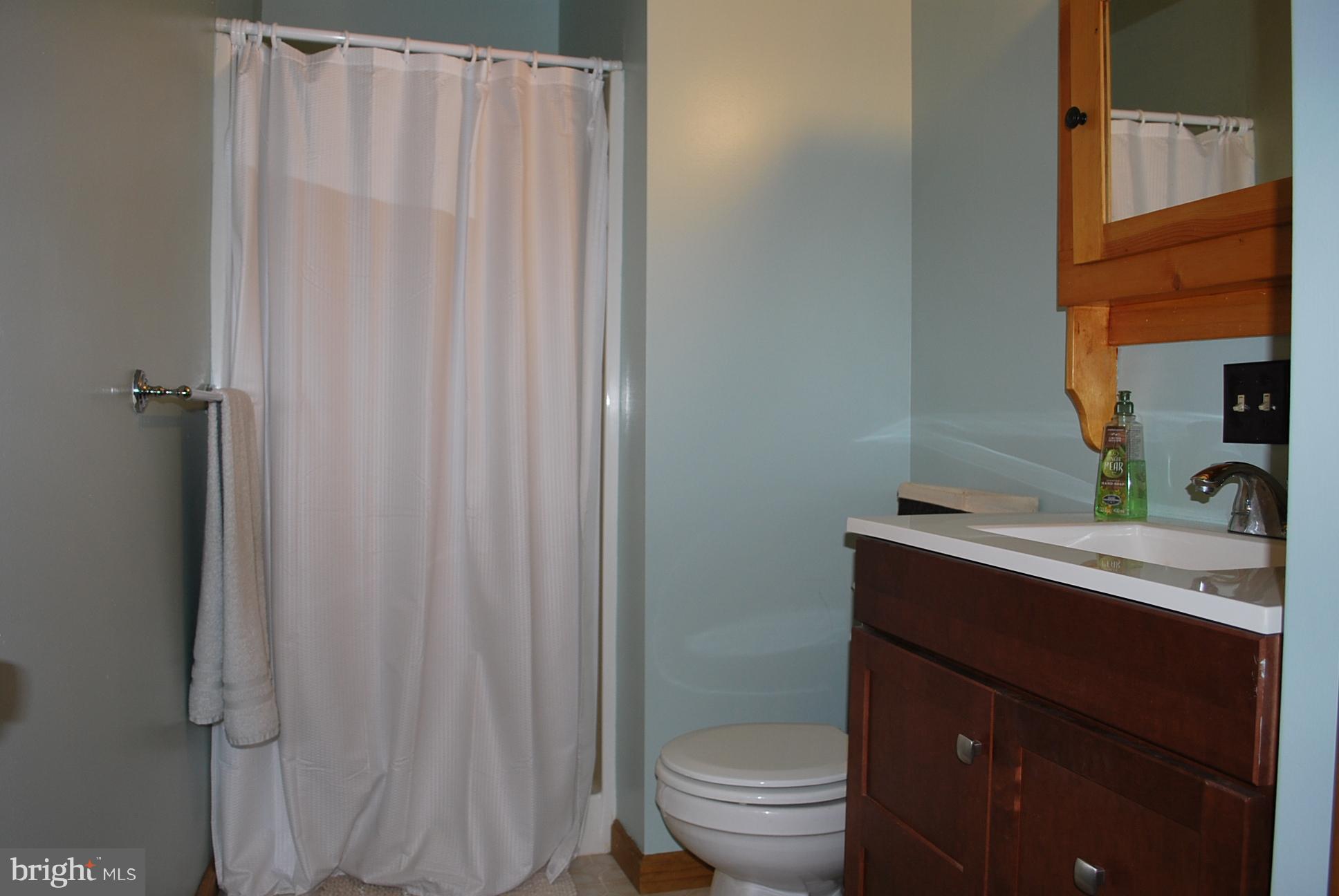 412 Shed Road Newville, PA 17241 - Photo 12 of 35 Master Bath with Shower