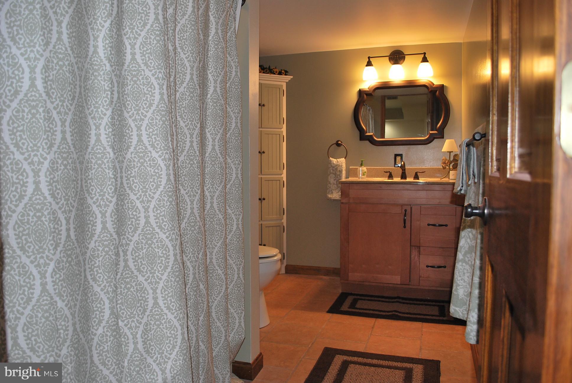 412 Shed Road Newville, PA 17241 - Photo 24 of 35 Lower Level full Bath