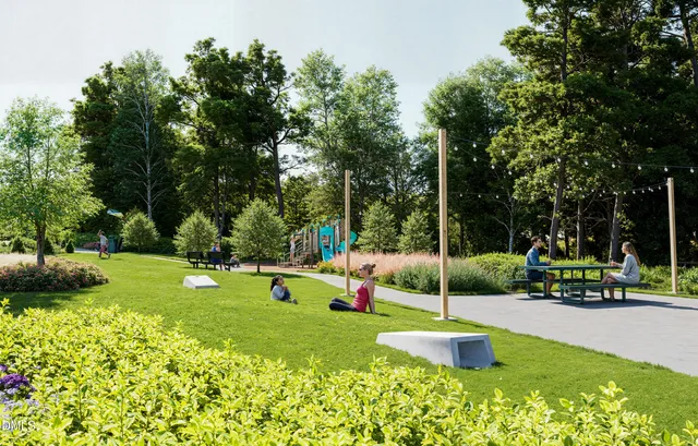 a view of a park with large trees